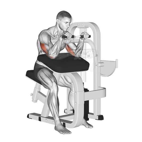 Pronation Extensions on Machine — ejercicio de General, nivel Intermedio