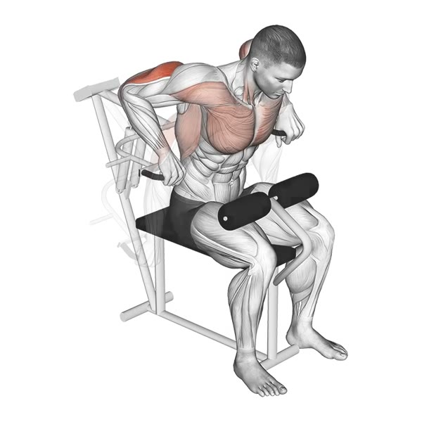 Pronation Funds in Machine — ejercicio de Tríceps, nivel Intermedio