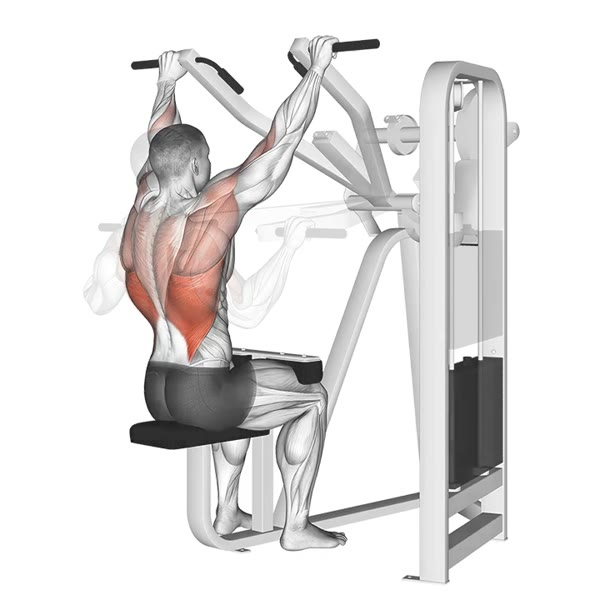 Pronation Pull on Machine — ejercicio de Espalda, nivel Intermedio