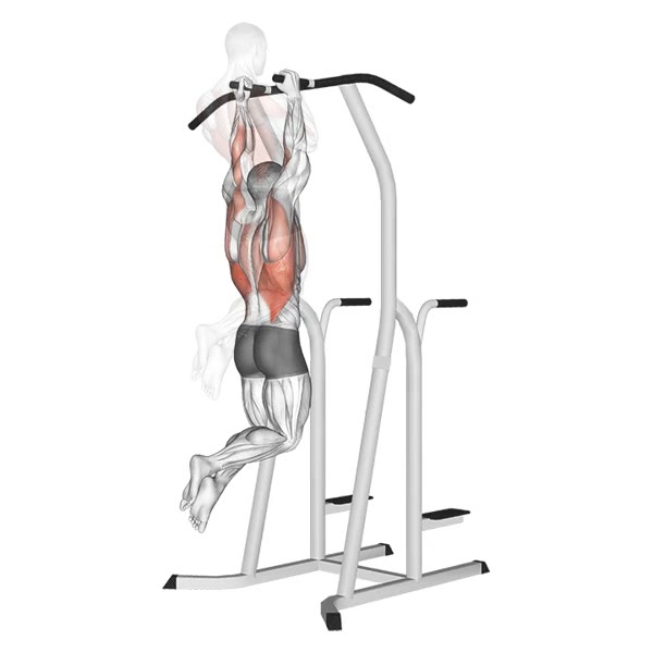 Pull Up in Hammer Hold — ejercicio de Espalda, nivel Intermedio