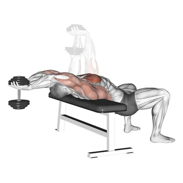 Pullover with Dumbbell — ejercicio de Pecho, nivel Intermedio