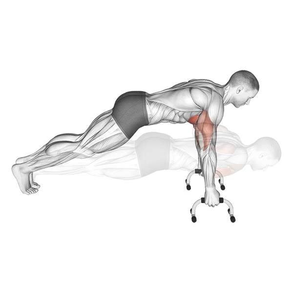 Push ups with Supports — ejercicio de Pecho, nivel Intermedio