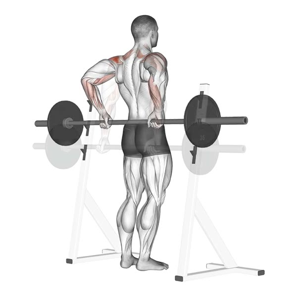Rear Lift with Bar — ejercicio de General, nivel Intermedio