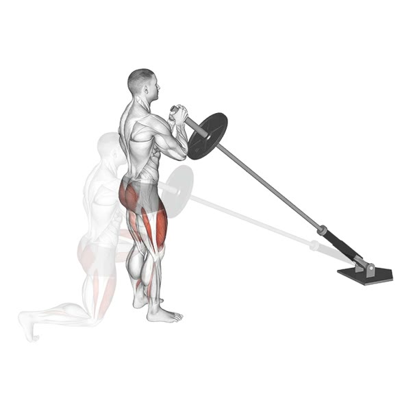 Rear Stride on Toe — ejercicio de General, nivel Intermedio