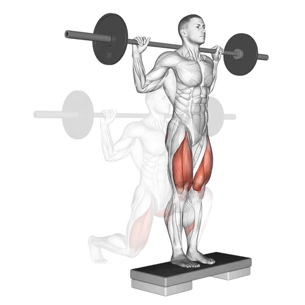Rear Stride with Bar — ejercicio de General, nivel Intermedio