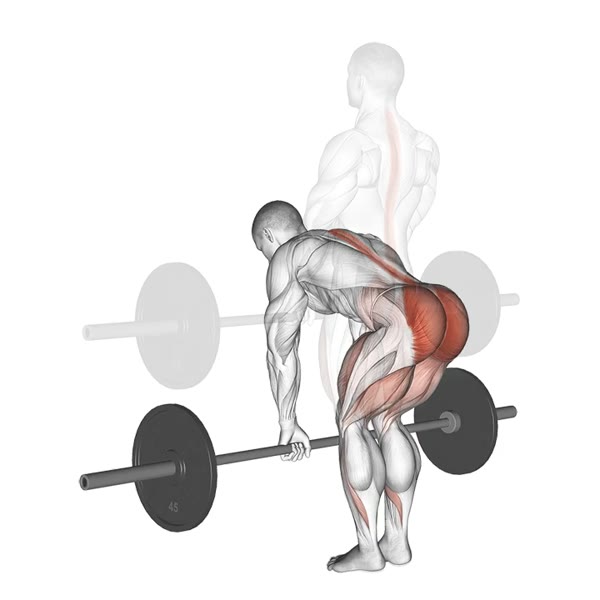 Romanian Deadlift with Barbell — ejercicio de Pierna, nivel Avanzado