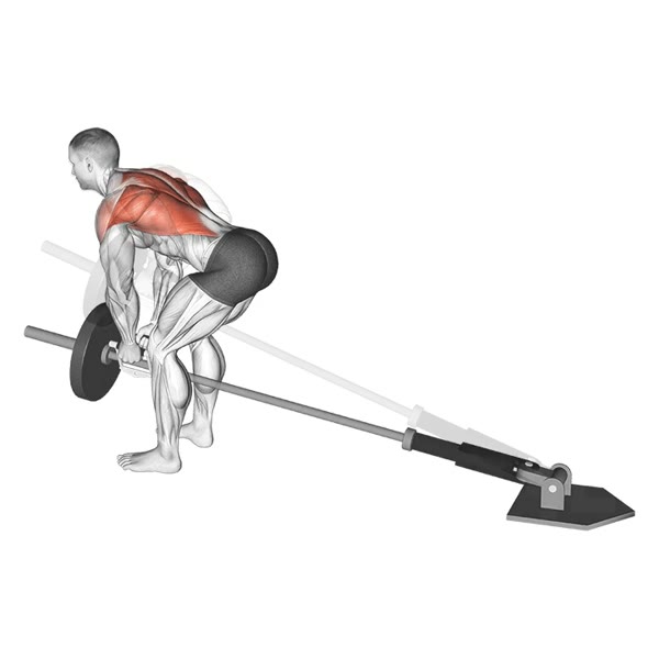 Rowing at Pointe — ejercicio de Espalda, nivel Intermedio