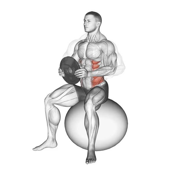 Seated twists on a Fitball — ejercicio de Abdomen, nivel Intermedio
