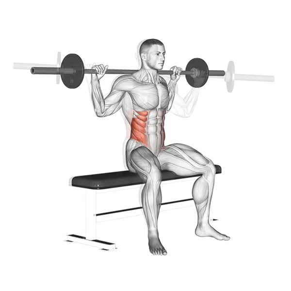 Seated waist twists with bar — ejercicio de Abdomen, nivel Intermedio