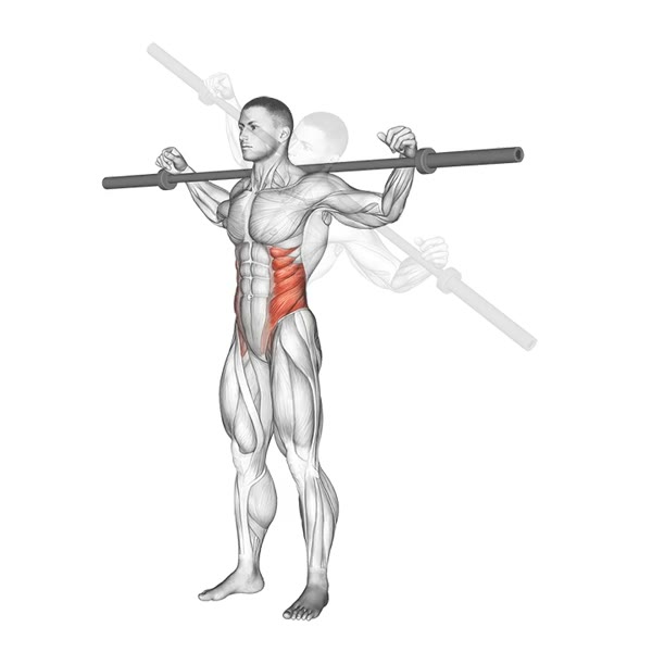 Side Crunch with Barbell — ejercicio de Abdomen, nivel Intermedio