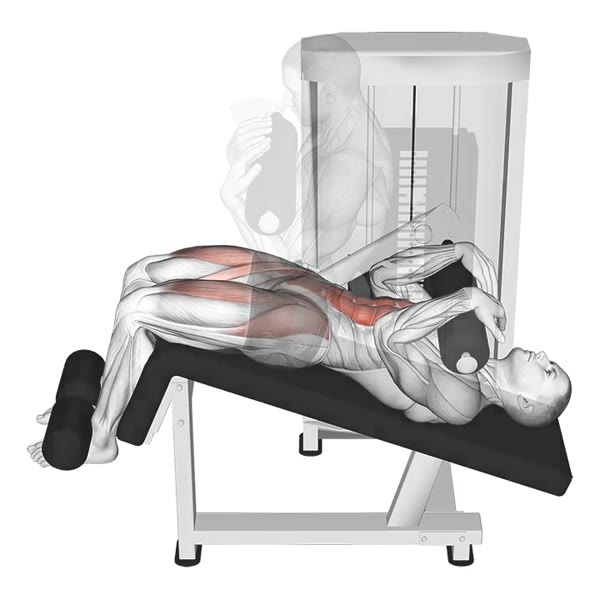 Sit Up on Machine — ejercicio de Abdomen, nivel Avanzado