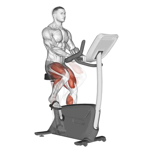 Standard Stationary Bike — ejercicio de Cardio, nivel Intermedio
