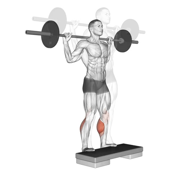 Standing Calf Extension with Barbell — ejercicio de Pierna, nivel Intermedio