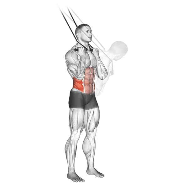 Standing Diagonal Crunch with Bands — ejercicio de Abdomen, nivel Intermedio