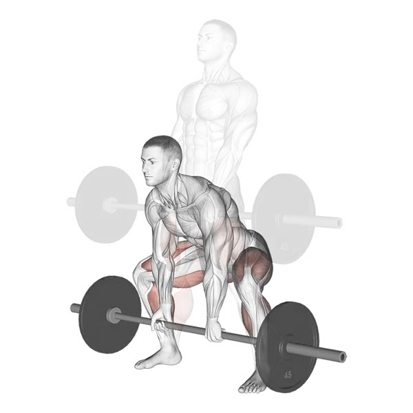 Sumo Deadlift with Barbell — ejercicio de Pierna, nivel Avanzado
