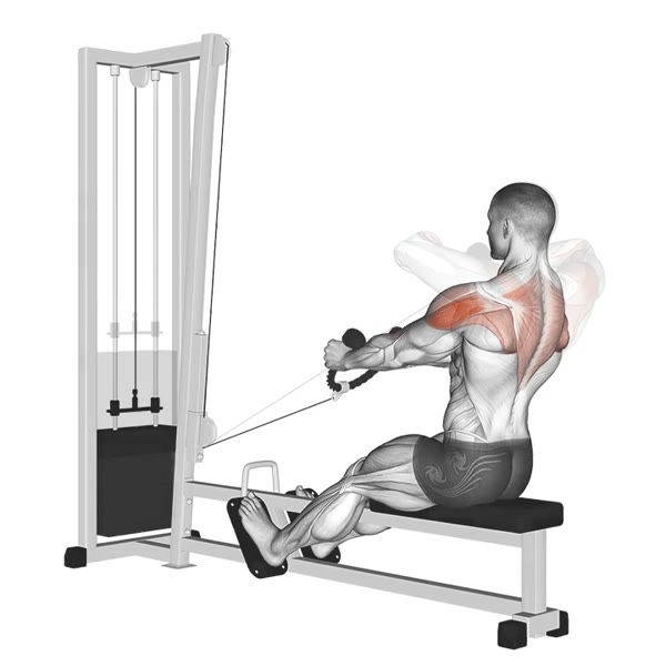 Superior Horizontal Rowing with Rope on Pulley — ejercicio de Espalda, nivel Intermedio