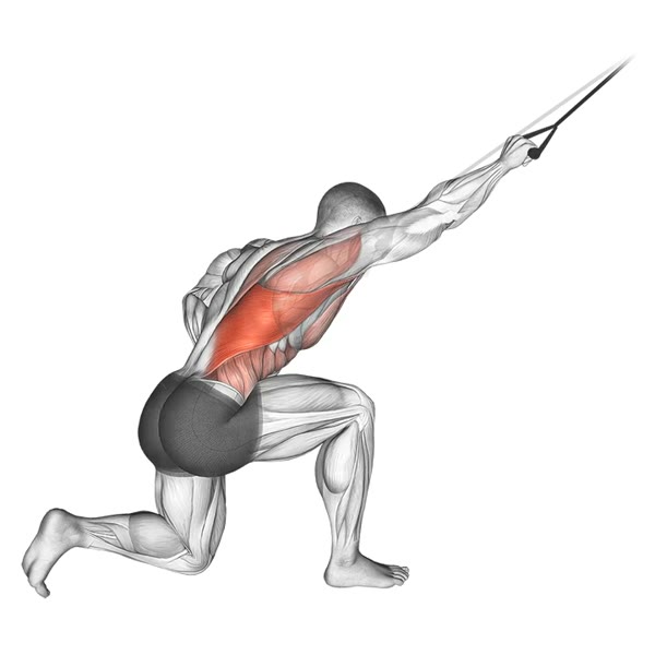 Superior Isolated Paddle with Band — ejercicio de General, nivel Intermedio