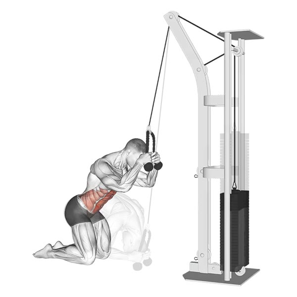 Superior Knee Crunch with Pulley — ejercicio de Abdomen, nivel Intermedio