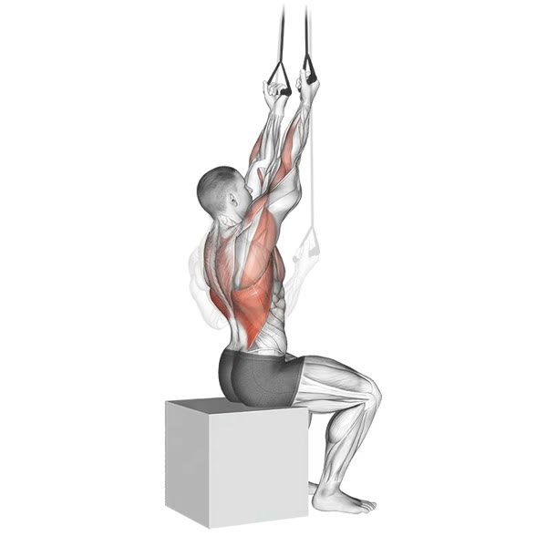 Supination Pulldown with Bands — ejercicio de Espalda, nivel Intermedio