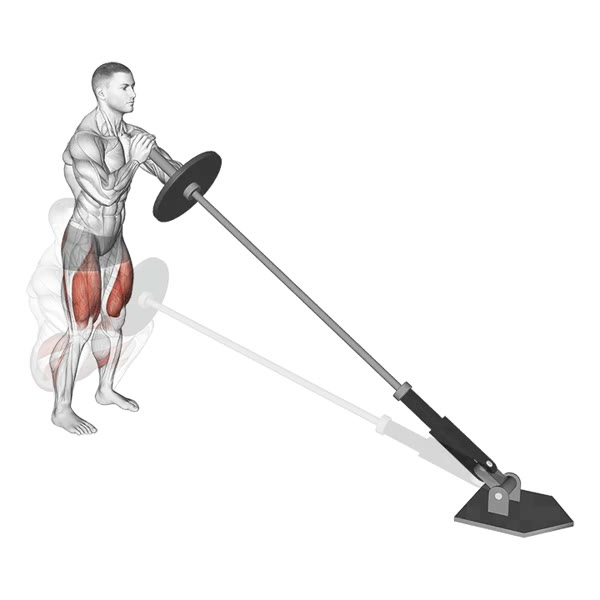 Toe Squat — ejercicio de Pierna, nivel Intermedio