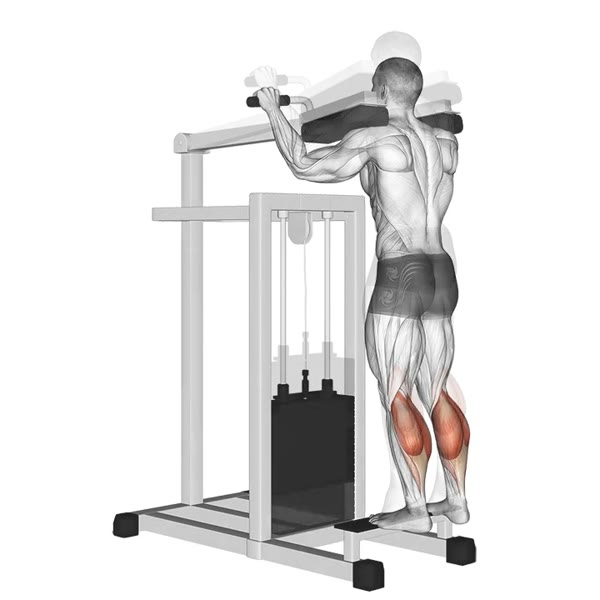 Top Loading Machine Twin Extension — ejercicio de General, nivel Intermedio