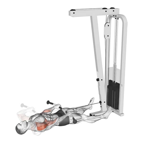 Upright Row on Pulley — ejercicio de Espalda, nivel Intermedio