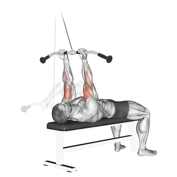 Vertical Supinated Curl with Pulley — ejercicio de Bíceps, nivel Intermedio